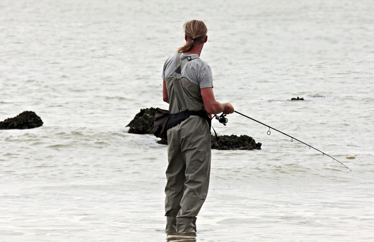 angler, fishing, north sea, waters, fisherman, sea, beach, leisure time, water, nature, sports, coast, recreational sports, fishing rod, angler pants